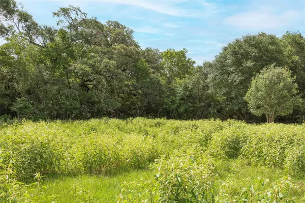 Hallettsville, TX 77964,05 CR 212