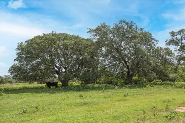 Hallettsville, TX 77964,05 CR 212