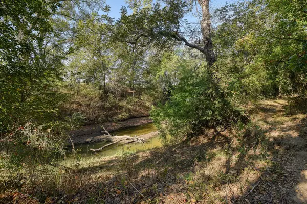 Cedar Creek, TX 78612,183 Clover RD