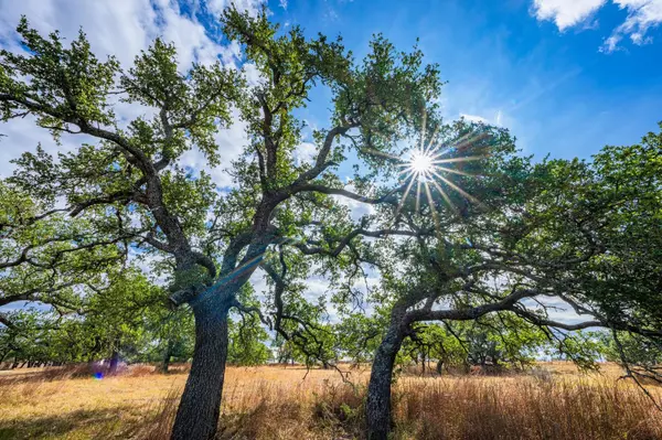 Fredericksburg, TX 78624,983 Axis CIR