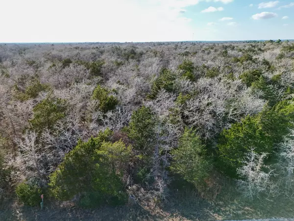 Paige, TX 78659,Lot 2 South Old Potato RD