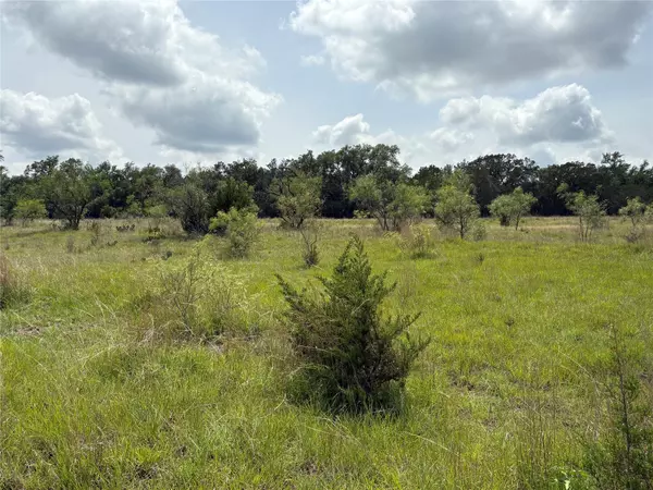 Cypress Mill, TX 78663,TBD Shovel Mountain RD