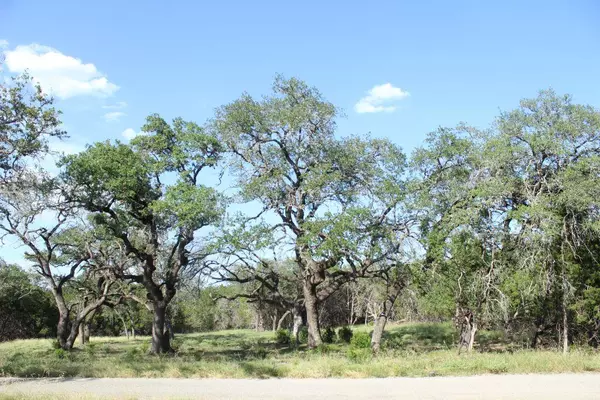 Lot-56 Travis Oaks Drive DR, Marble Falls, TX 78654