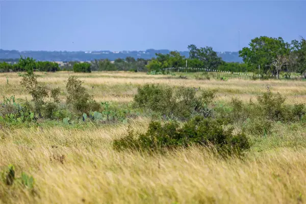 Bertram, TX 78605,10ac FM 243