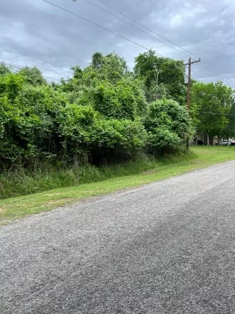 Bastrop, TX 78602,Lot 1099 Moku Manu DR