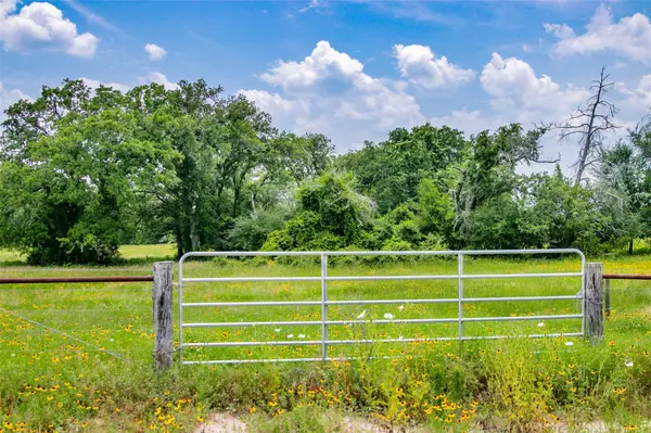 Lot 29 (5 Acres) Legacy RD, Somerville, TX 77879