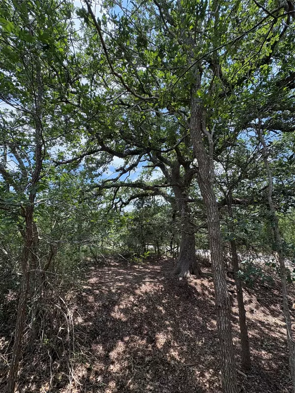 Lockhart, TX 78644,694 Brite RD