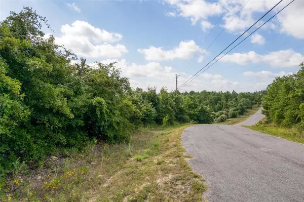 Bastrop, TX 78602,Lot 122 Kelley RD W