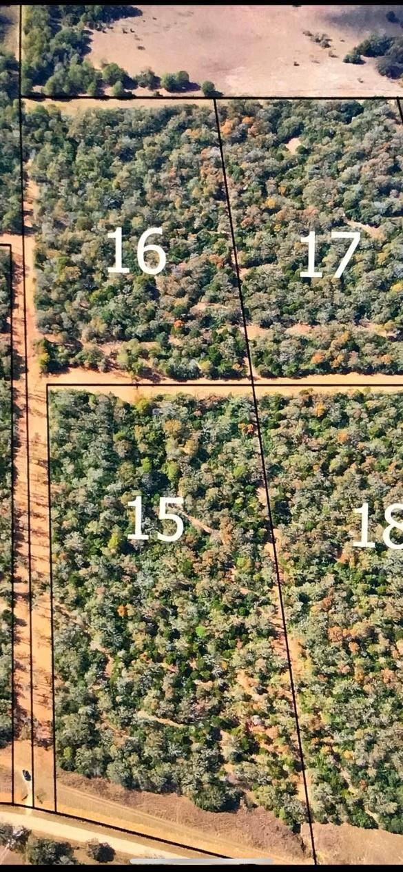 TBD S CR 302 #16, Rockdale, TX 76567
