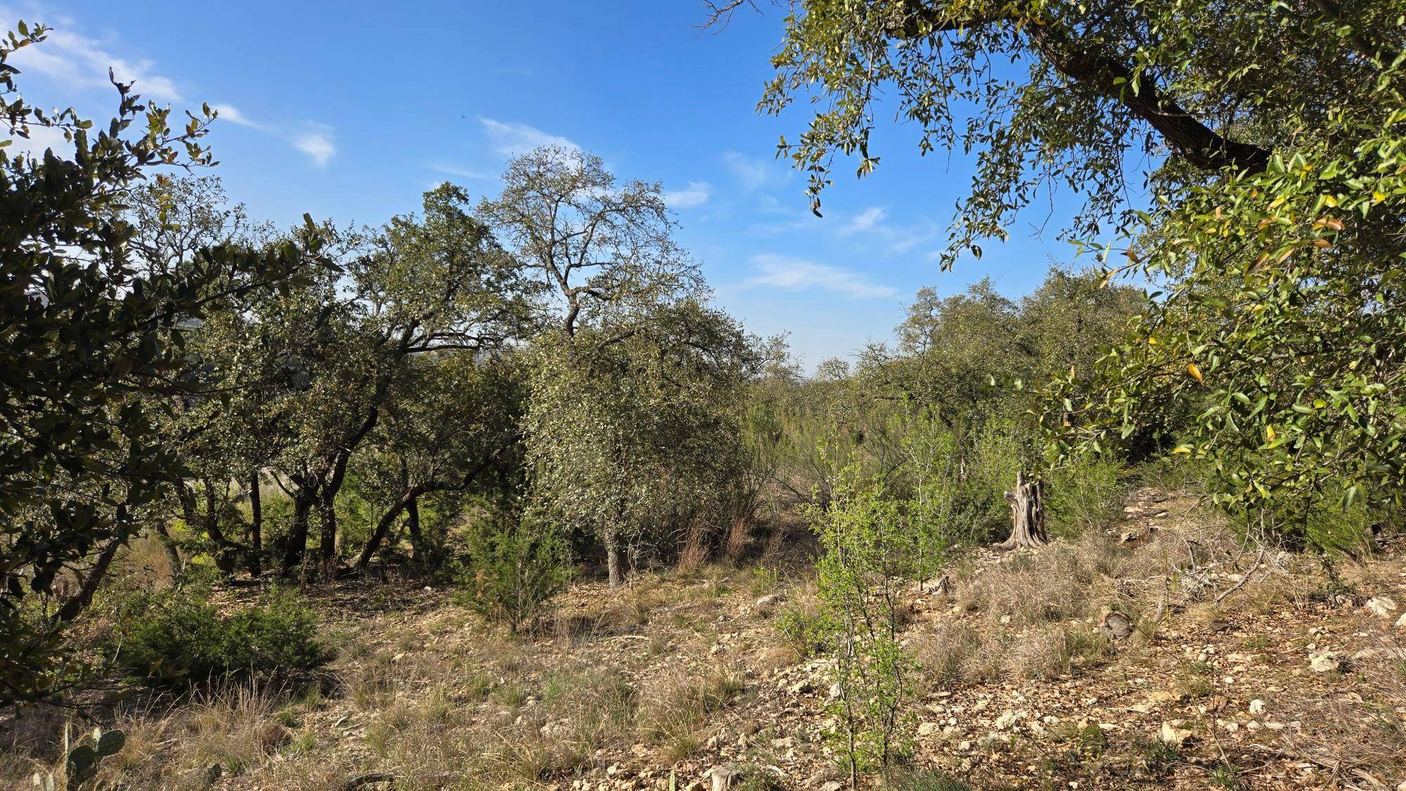 7600 Tessera PKWY, Lago Vista, TX 78645