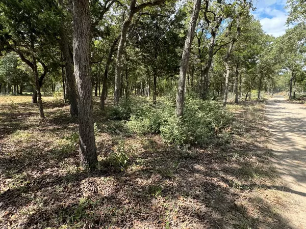 Elgin, TX 78621,[Lot 2] 000 Jordan LN