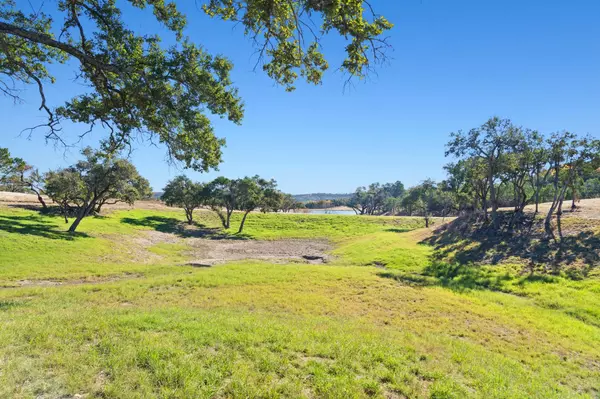 Dripping Springs, TX 78620,3300 FM 165 Lot 5