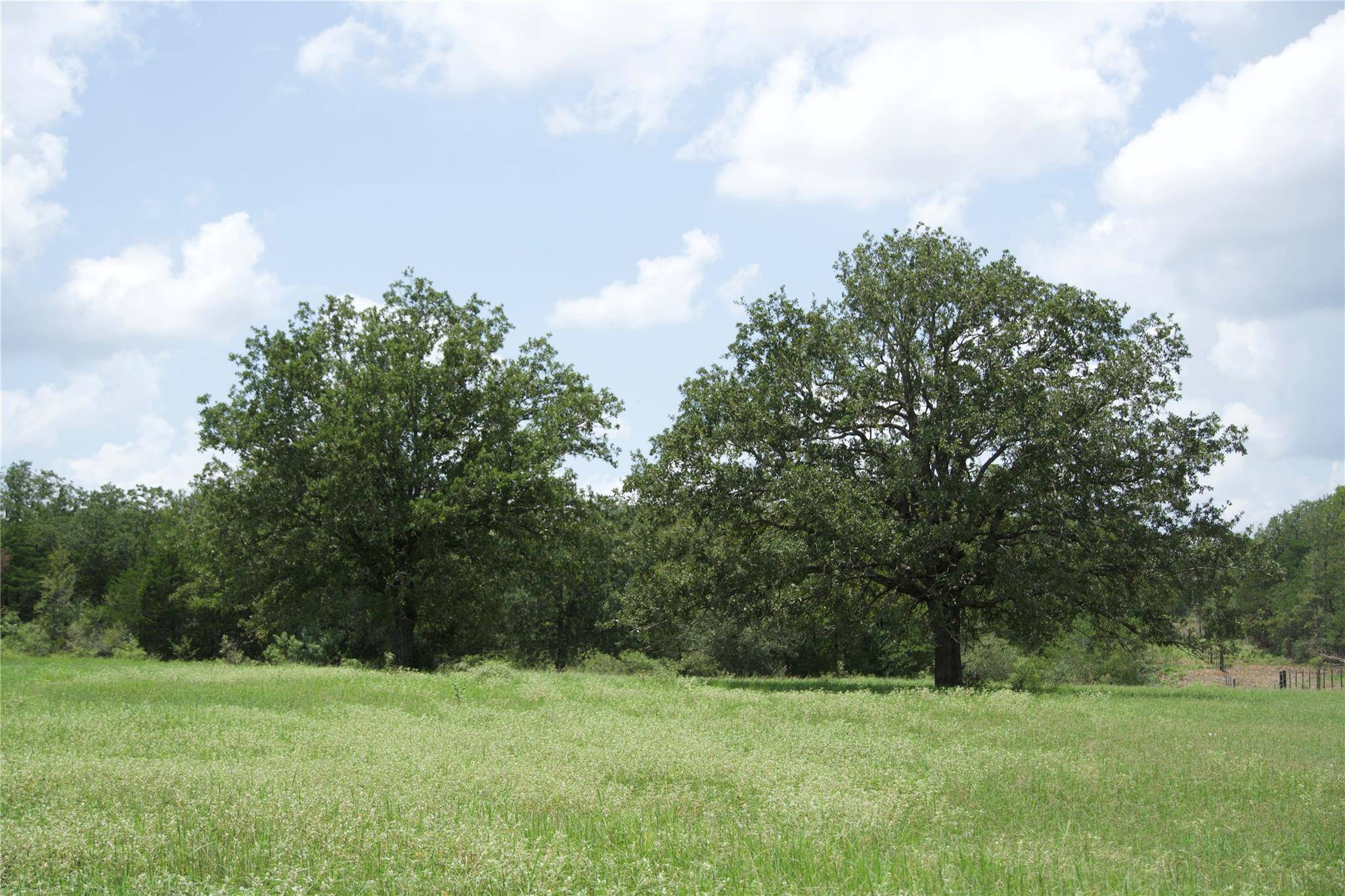 Paige, TX 78659,TBD St Delight (Tract 5) RD