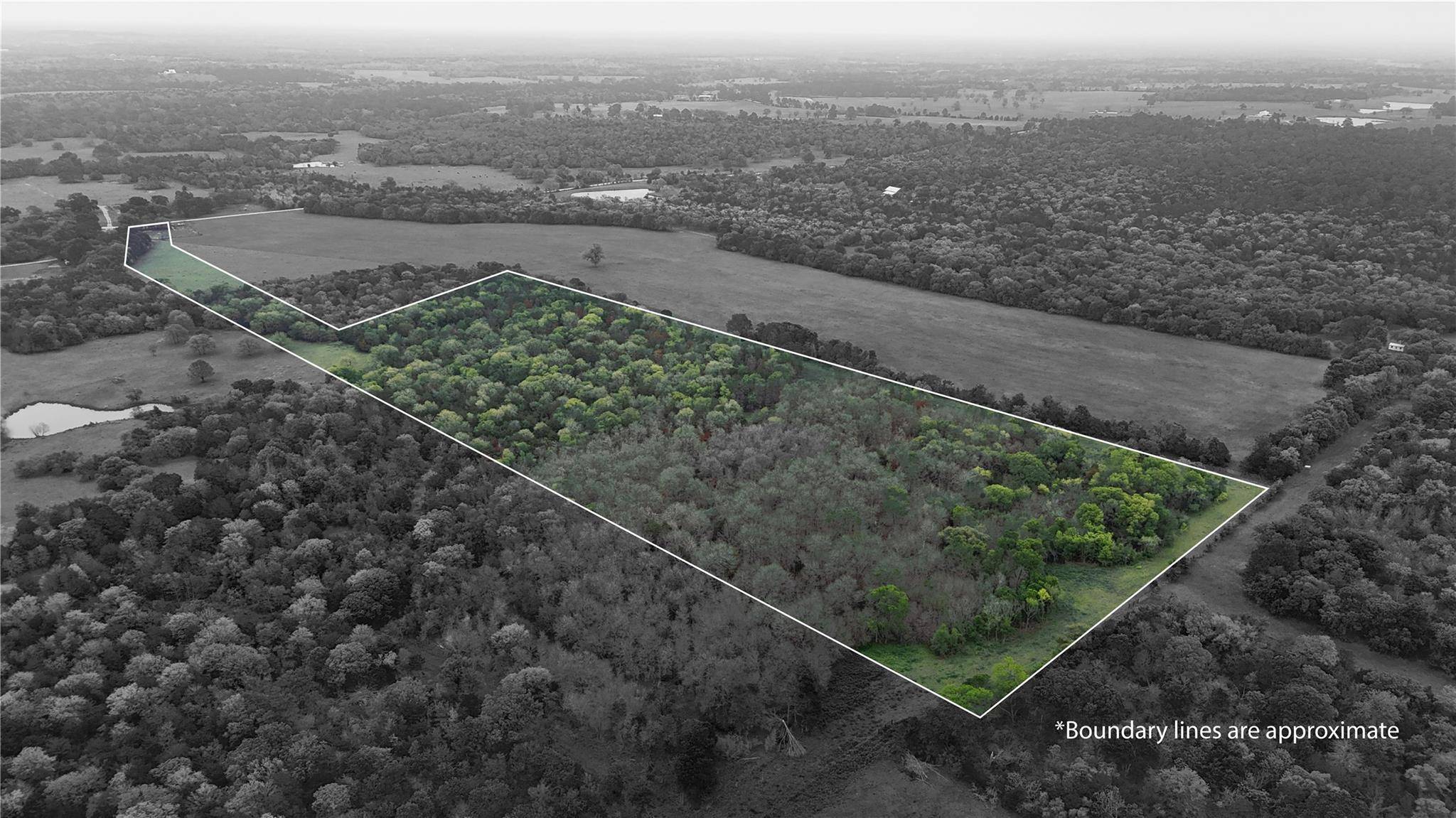 Paige, TX 78659,TBD St Delight (Tract 5) RD