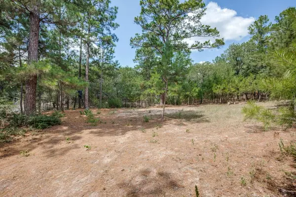 Red Rock, TX 78662,217 Kestrel LN