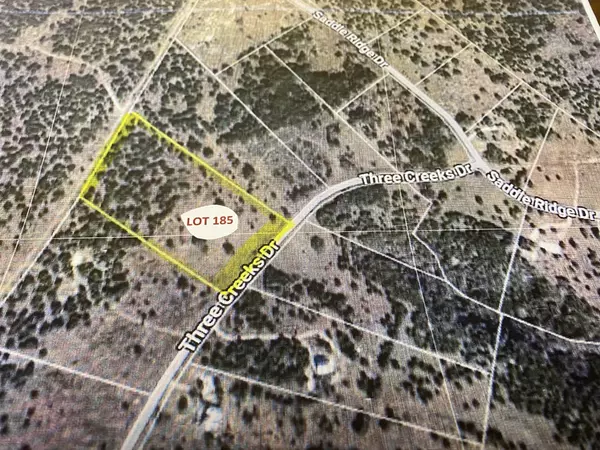 Lot 185 Three Creeks DR, Bertram, TX 78605