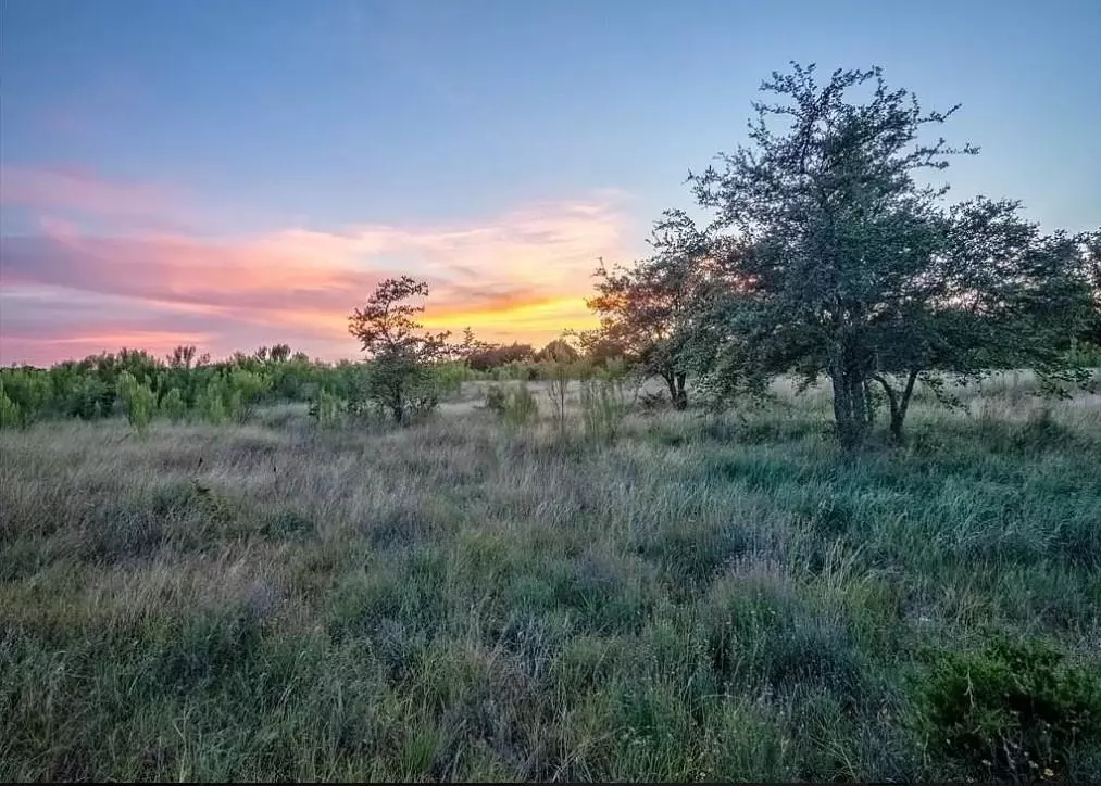 Bertram, TX 78605,Lot 185 Three Creeks DR