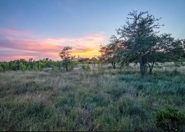 Lot 185 Three Creeks DR, Bertram, TX 78605