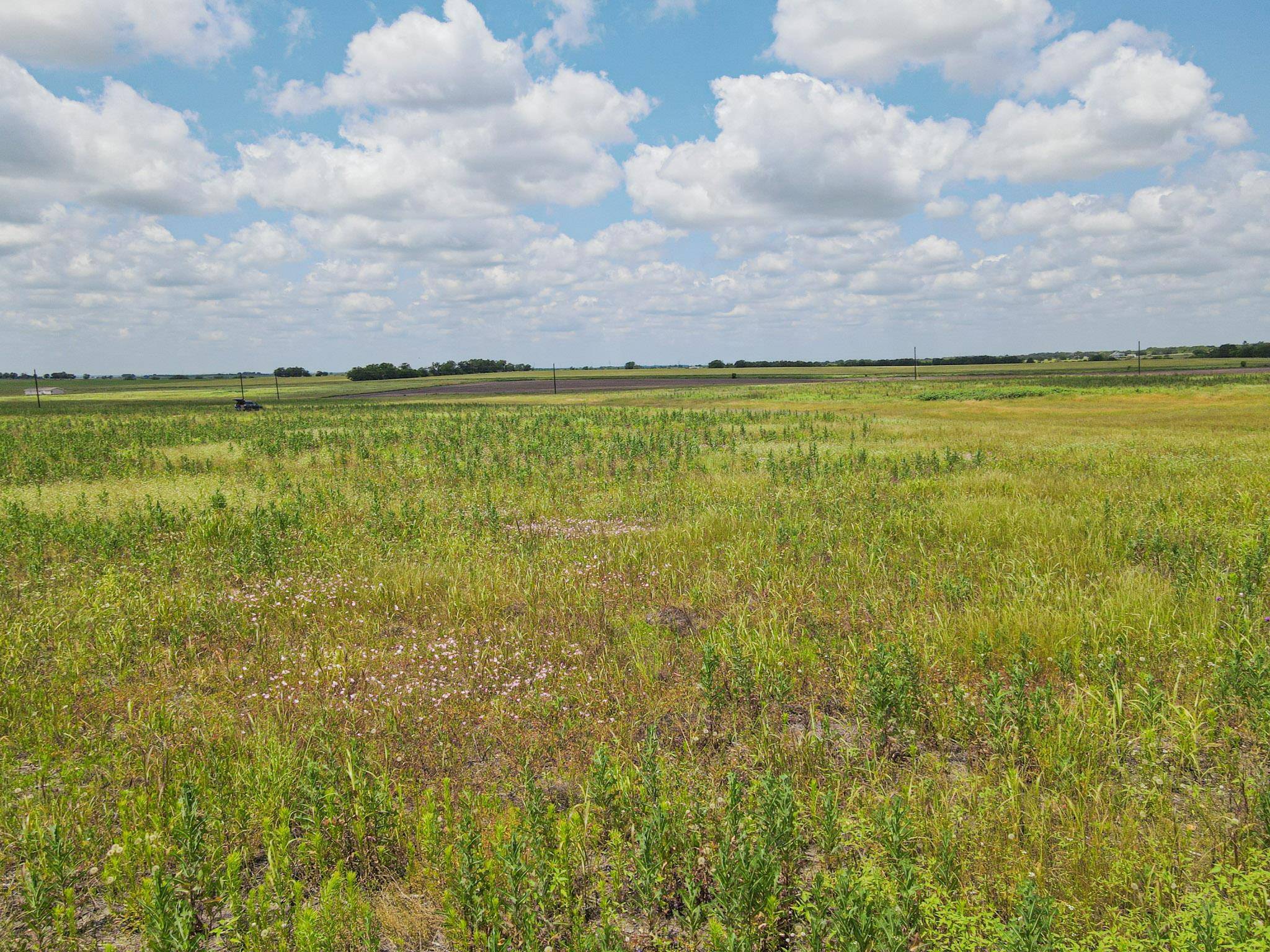 Buckholts, TX 76518,TBD FM CR 109/Pool Ln #17