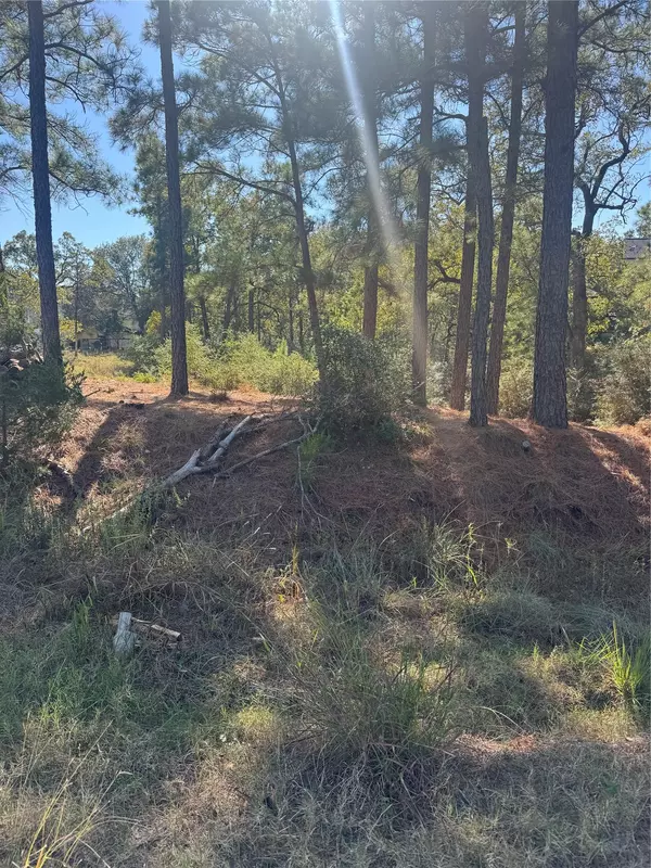 Lot 97 Kaelepulu DR, Bastrop, TX 78602