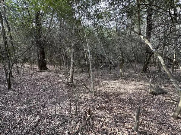 Bastrop, TX 78602,Lot 1233 Hanauma DR