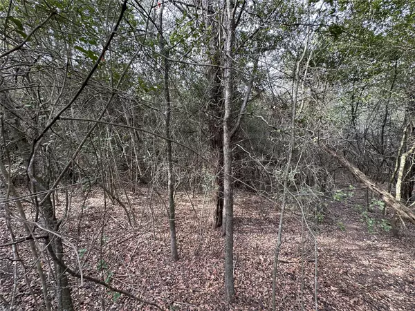 Bastrop, TX 78602,Lot 1233 Hanauma DR