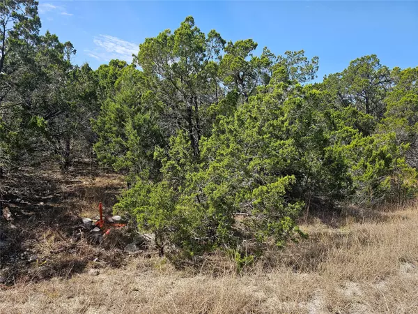 Leander, TX 78645,20613 Ramrod TRL