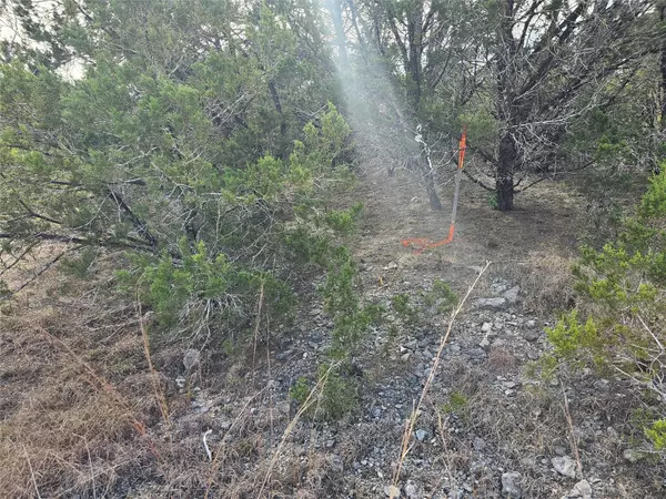 Leander, TX 78645,20613 Ramrod TRL