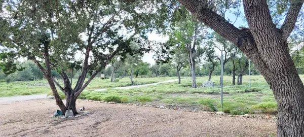 Blanco, TX 78606,1085 Forest View DR