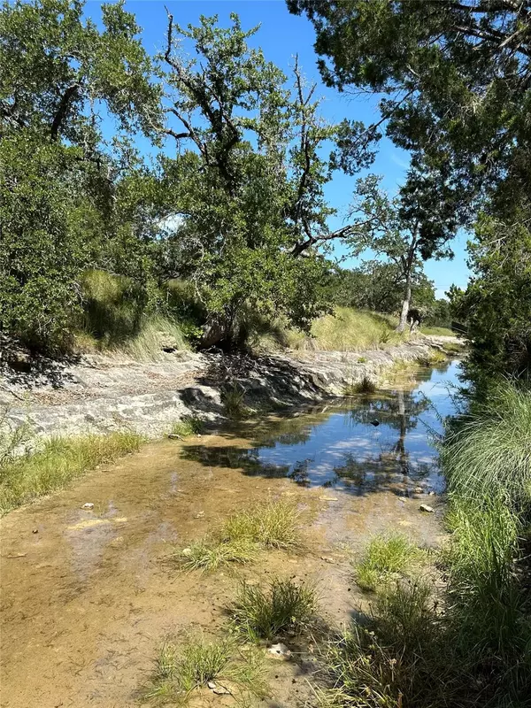 Dripping Springs, TX 78620,TBD Redemption Ave