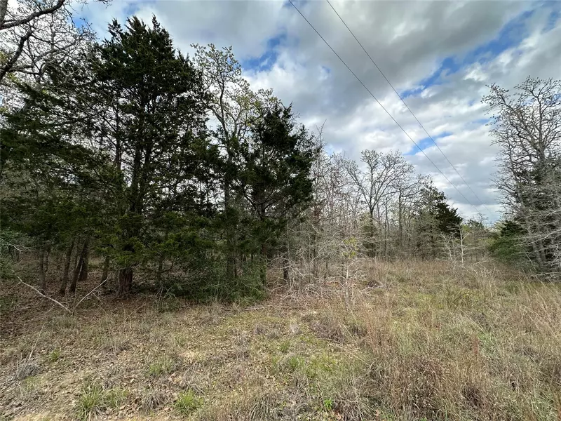 547 S. Old Potato DR, Paige, TX 78602