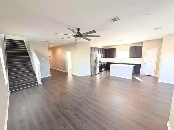 Georgetown, TX 78626,240 Arabian Colt DR