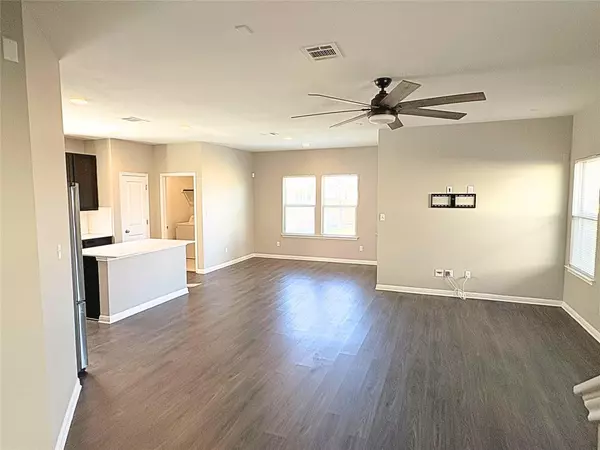 Georgetown, TX 78626,240 Arabian Colt DR