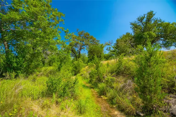 Driftwood, TX 78619,564 Bluff Springs DR