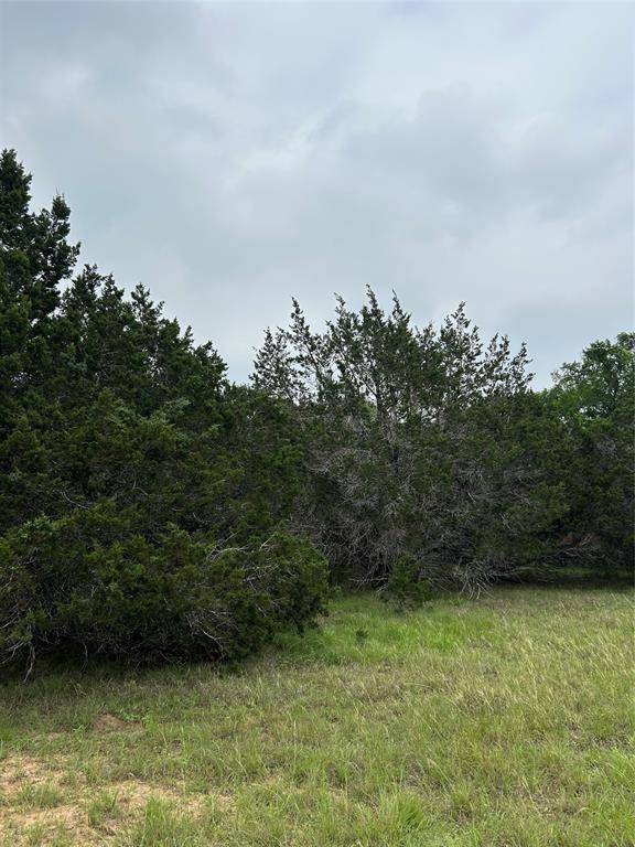 4 Quiet Meadow CIR, Wimberley, TX 78676