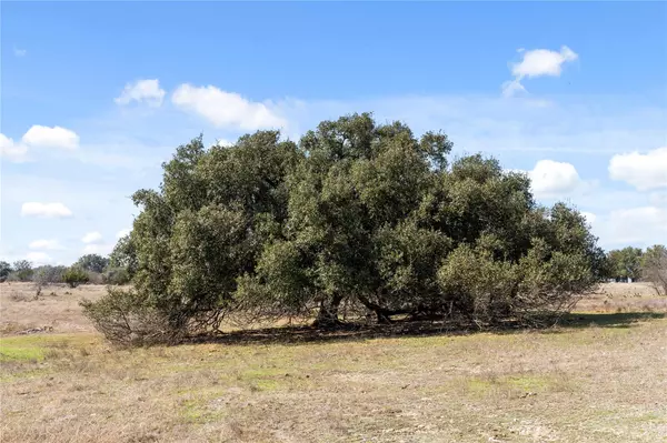 Salado, TX 76571,TBD Hidden Springs DR