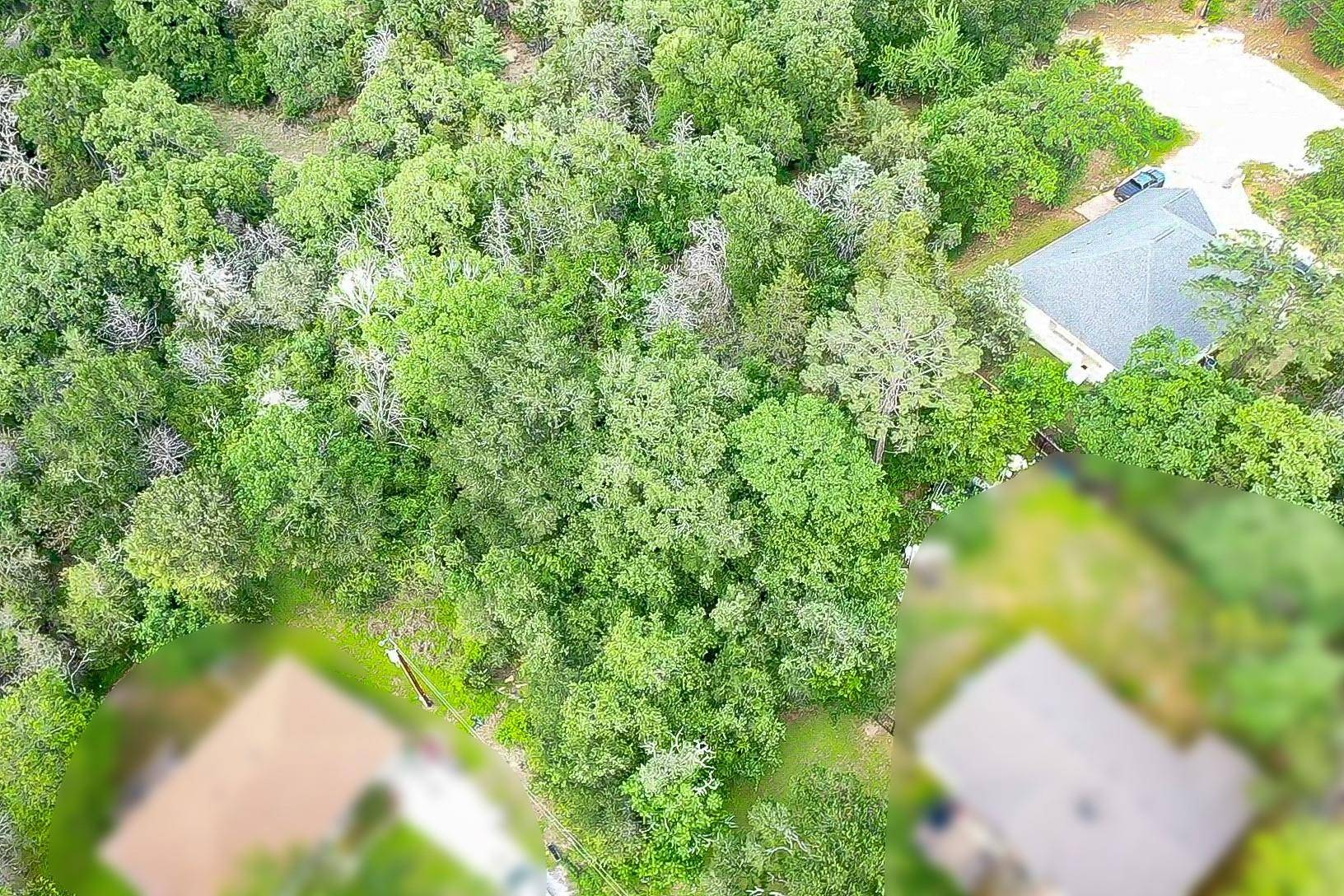 Bastrop, TX 78602,111 Nuupia CT