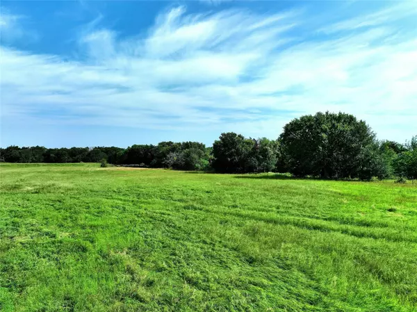 Thrall, TX 76578,TBD Fm 619