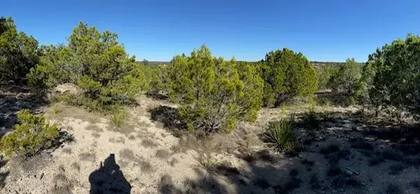 Dripping Springs, TX 78620,530 Lost Valley RD