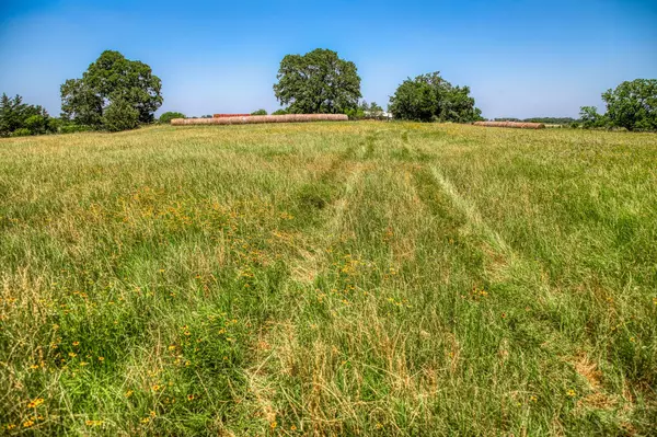 Lexington, TX 78947,3335 County Road 323