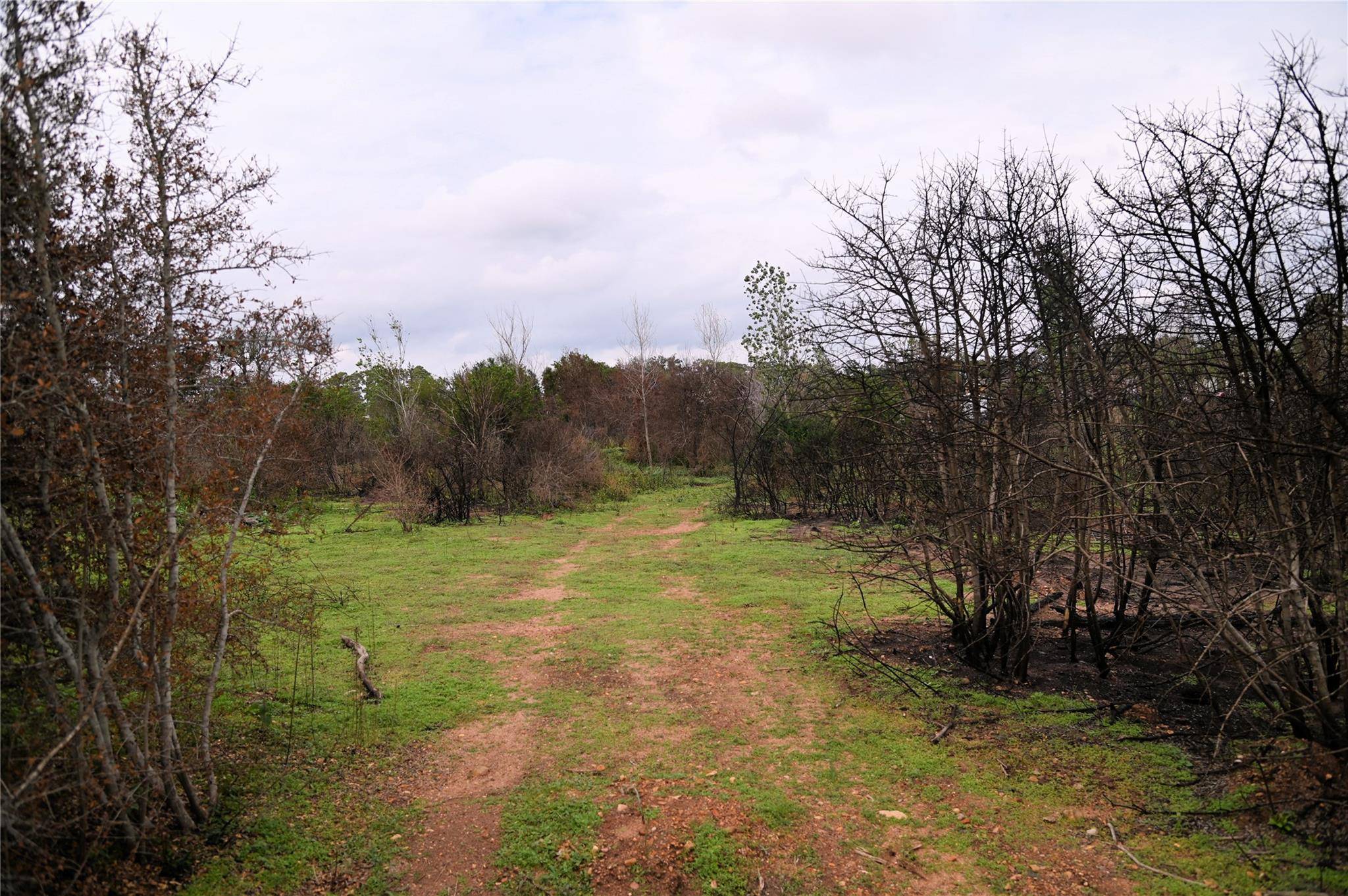 130 1st ST, Bastrop, TX 78602