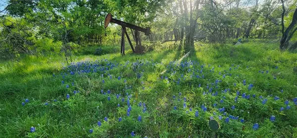 Buckholts, TX 76518,TBA N FM 487