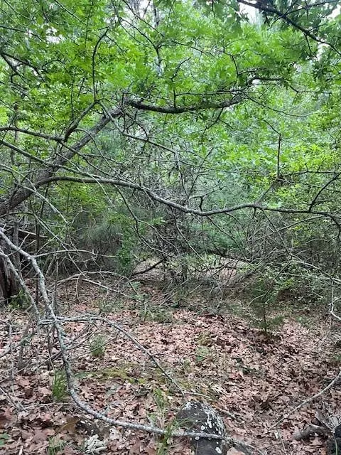 Bastrop, TX 78602,Lot 1603 Ulupau CIR