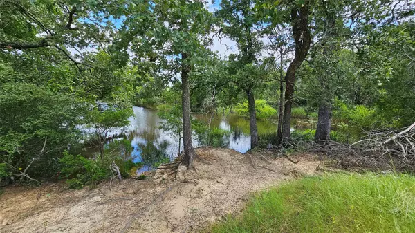 Thrall, TX 76578,2055 CR 481 Tract 1