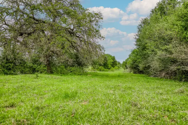 Ledbetter, TX 78946,TBD (62.58 Acres) County Road 125