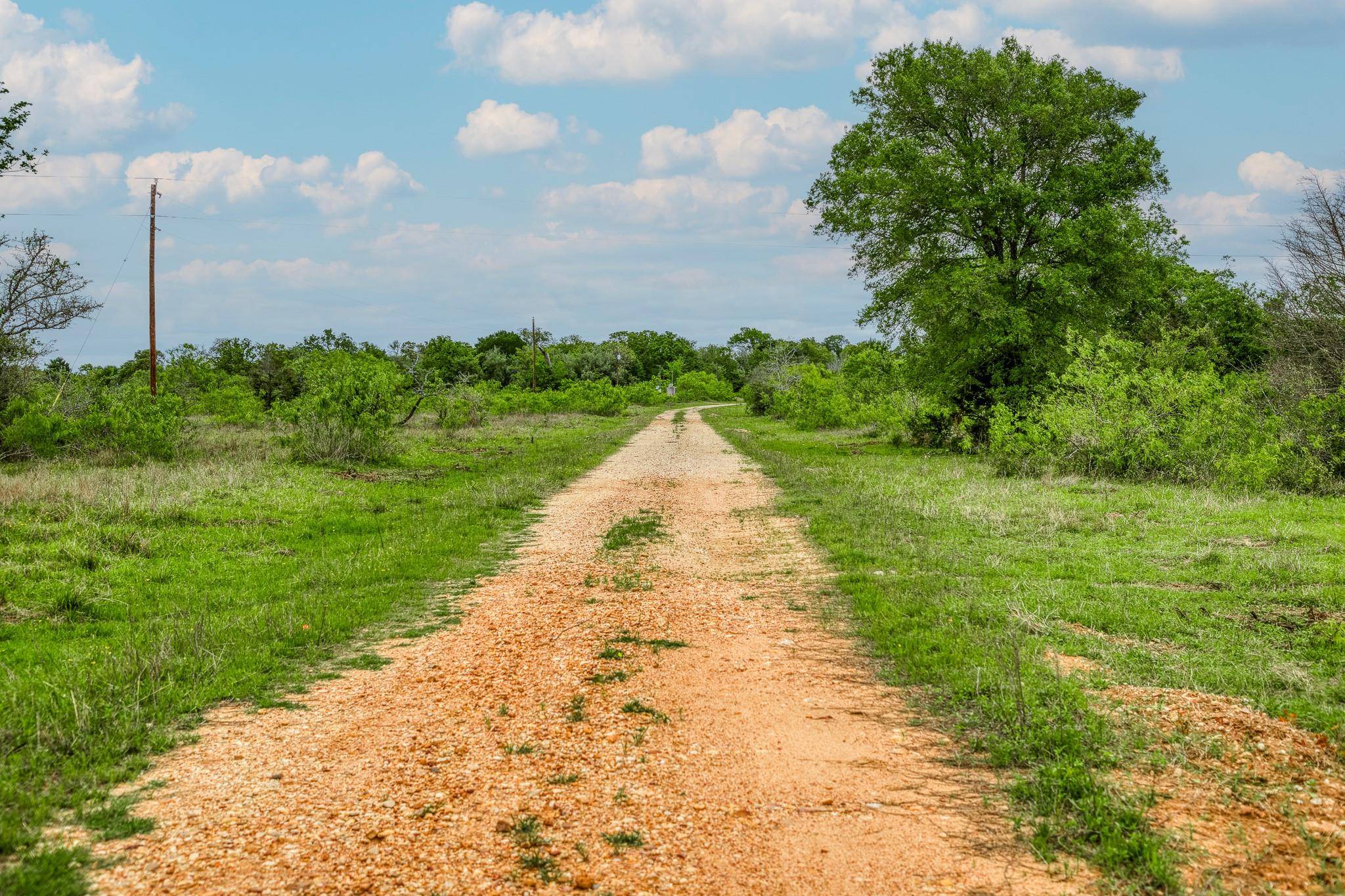 Ledbetter, TX 78946,TBD (62.58 Acres) County Road 125