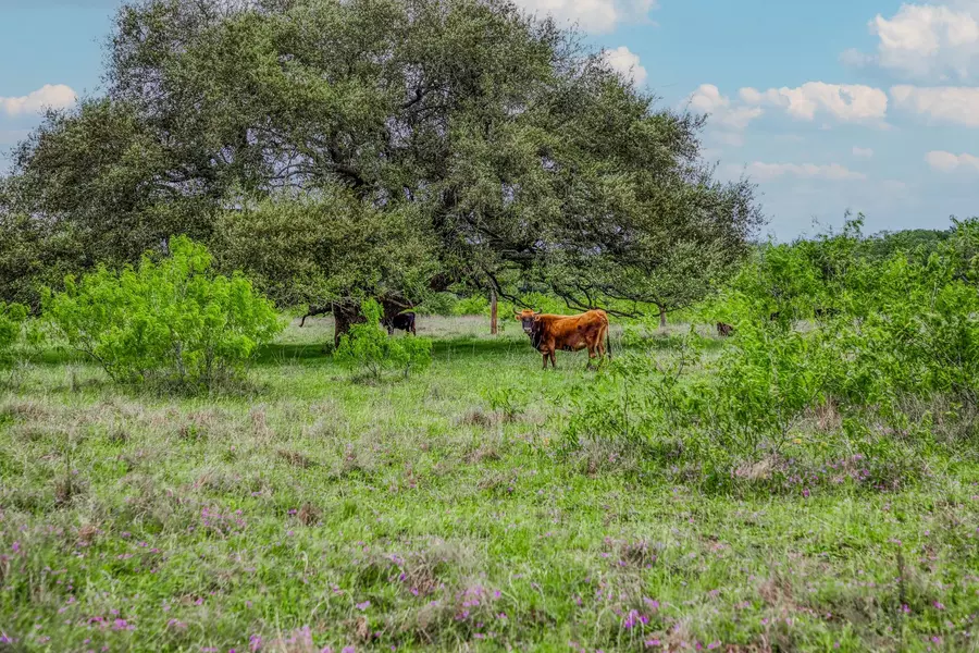 TBD (62.58 Acres) County Road 125, Ledbetter, TX 78946