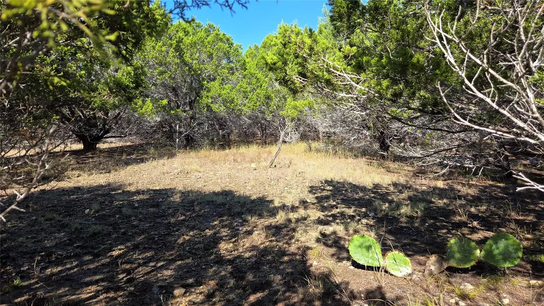 1801 Santa Cruz CIR, Lago Vista, TX 78645