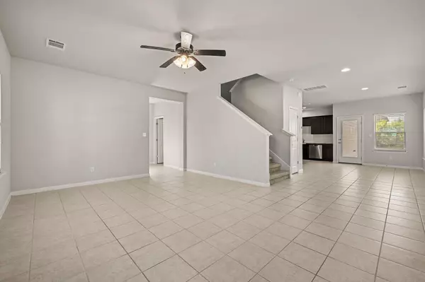 Georgetown, TX 78626,321 Arabian Colt DR