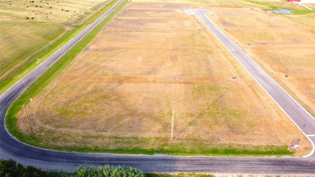 212 Tigerlily WAY, Thrall, TX 76578
